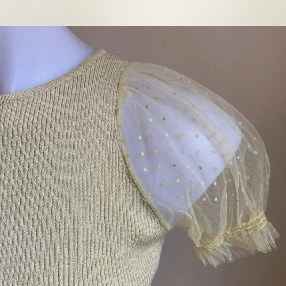 Zara shimmer top with sheer polka dot puffy sleeves size 8
